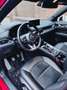 Mazda CX-5 CX-5 2.0i e-SKYACTIV-G MHE 2WD Homura Rouge - thumbnail 5