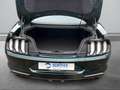 Ford Mustang 5.0 Bullitt #MAGNERIDE #RECARO #B&O Grün - thumbnail 17