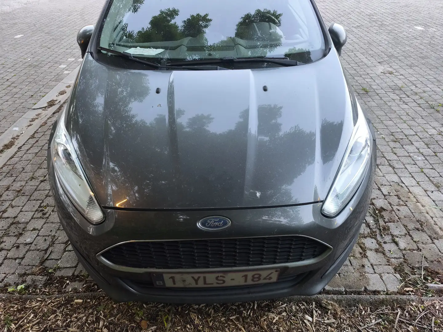 Ford Fiesta AFFAIRES 1.0 ECOBOOST 80 TREND - 1