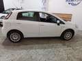 Fiat Punto Punto 5p 1.4 easypower Lounge Gpl my13 Blanc - thumbnail 6