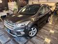 Ford Kuga Titanium/Allrad/AHK/Navi/SHZ/Klimaauto/ Gris - thumbnail 1