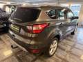 Ford Kuga Titanium/Allrad/AHK/Navi/SHZ/Klimaauto/ Gris - thumbnail 3