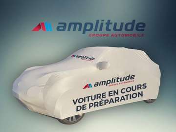 320 L1H1 2.0 EcoBlue Hybrid 130ch Titanium