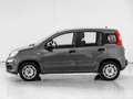 Fiat Panda 1.2 Easy Grau - thumbnail 2