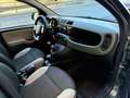 Fiat Panda Panda III 2012 4x4 1.3 mjt 16v 4x4 75cv Vert - thumbnail 2