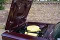 Ford Thunderbird Convertible V8 352 ci PRICE REDUCTION! Presented i Rojo - thumbnail 30