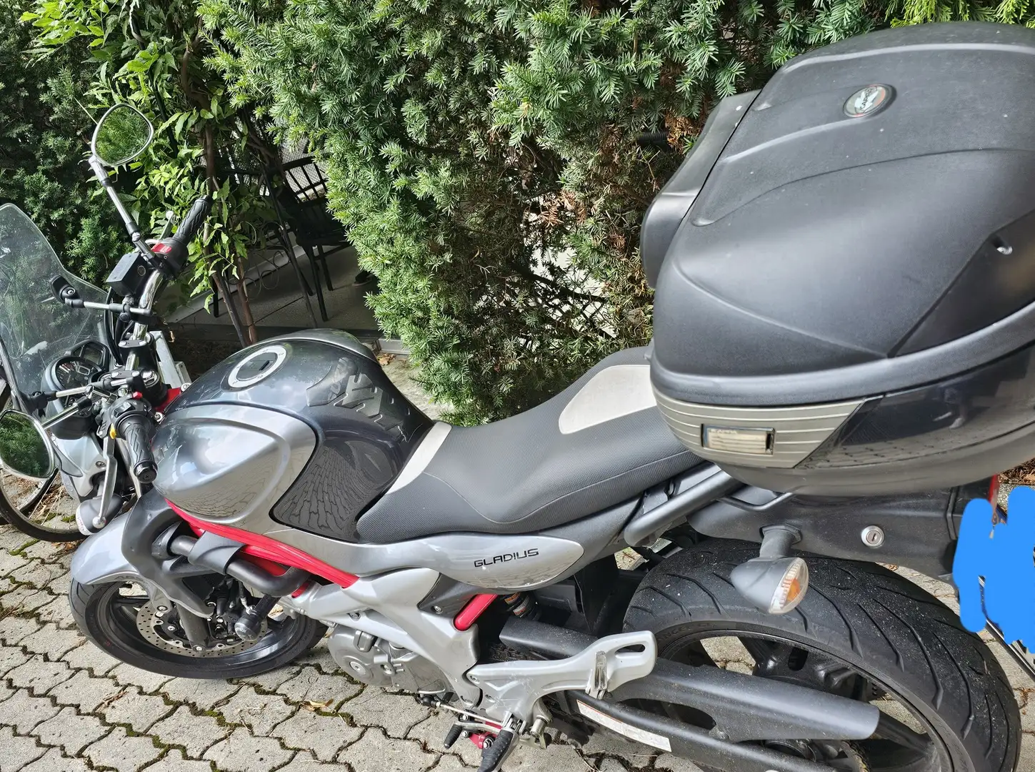 Suzuki Gladius 650 Blu/Azzurro - 2