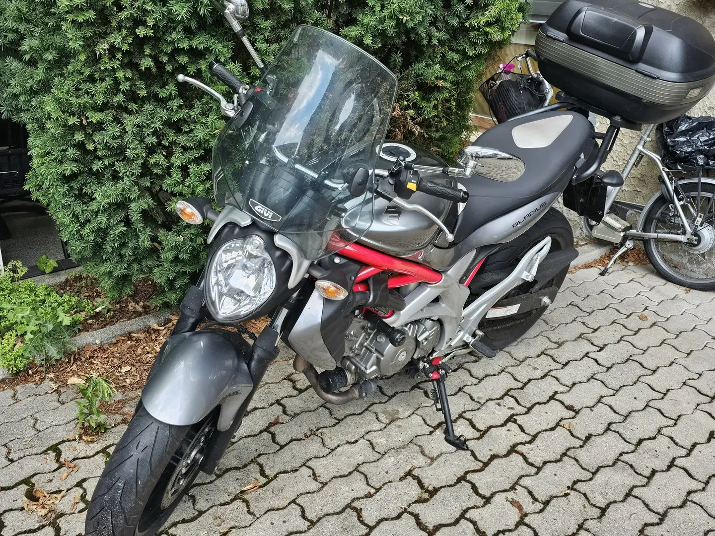 Suzuki Gladius 650 Blu/Azzurro - 1