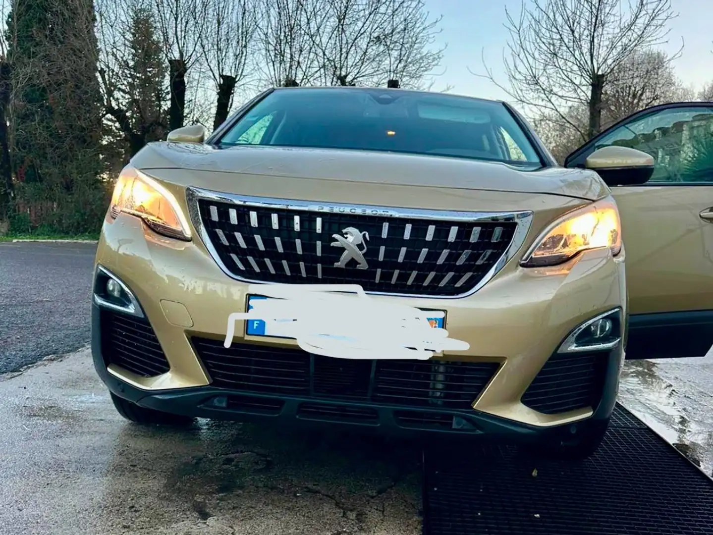 Peugeot 3008 3008+BlueHDi+130ch+S Бежевий - 1