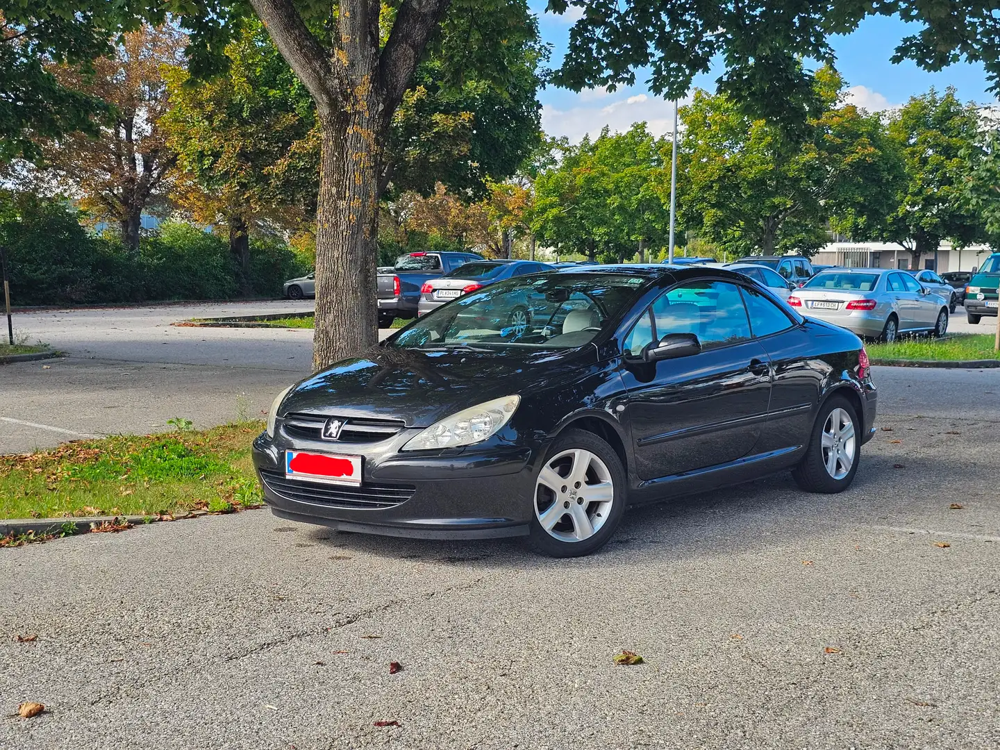 Peugeot 307 307 CC 1,6 16V Schwarz - 1