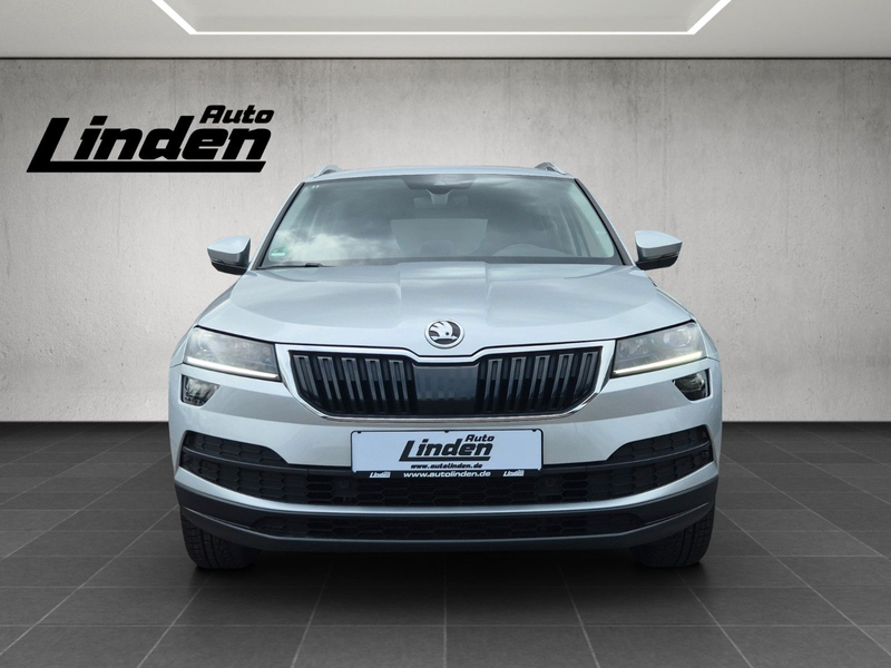 Skoda Karoq Style Carplay Navi LED PDC SHZ — photo 8
