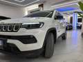 Jeep Compass 1.6 Mjt II 2WD Longitude Bianco - thumbnail 7