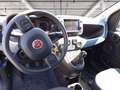 Fiat Panda 1.0 firefly hybrid Cross s&s 70cv 5p.ti Blu/Azzurro - thumbnail 13