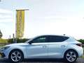 SEAT Leon FR / 1.0 TFSi / 110ch Bianco - thumbnail 5