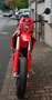 Beta RR 125 RR 125 4T T SuperMoto Rouge - thumbnail 2