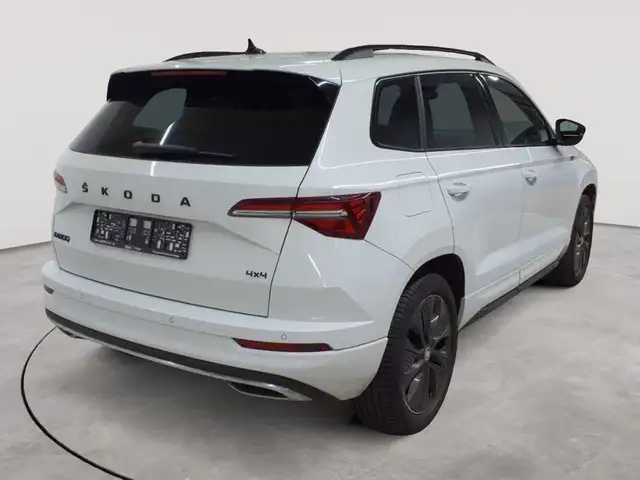 Skoda Karoq view 4