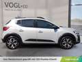 Dacia Sandero Stepway Expression TCe 110PS Grau - thumbnail 8
