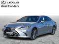 Lexus ES 300 Executive Line siva - thumbnail 1