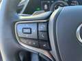 Lexus ES 300 Executive Line Grey - thumbnail 14
