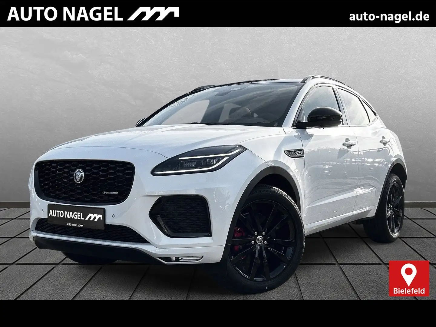 Jaguar E-Pace E-Pace D200 AWD R-Dyn.SE 20"AHK Pano HUD WinterP White - 1