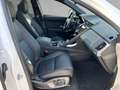 Jaguar E-Pace E-Pace D200 AWD R-Dyn.SE 20"AHK Pano HUD WinterP Alb - thumbnail 3