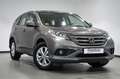 Honda CR-V 1.6 i-DTEC 2WD Comfort Gris - thumbnail 3