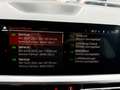 BMW 320 320 xd M-Paket Langstrecken KM Assistenten AHK Grau - thumbnail 41