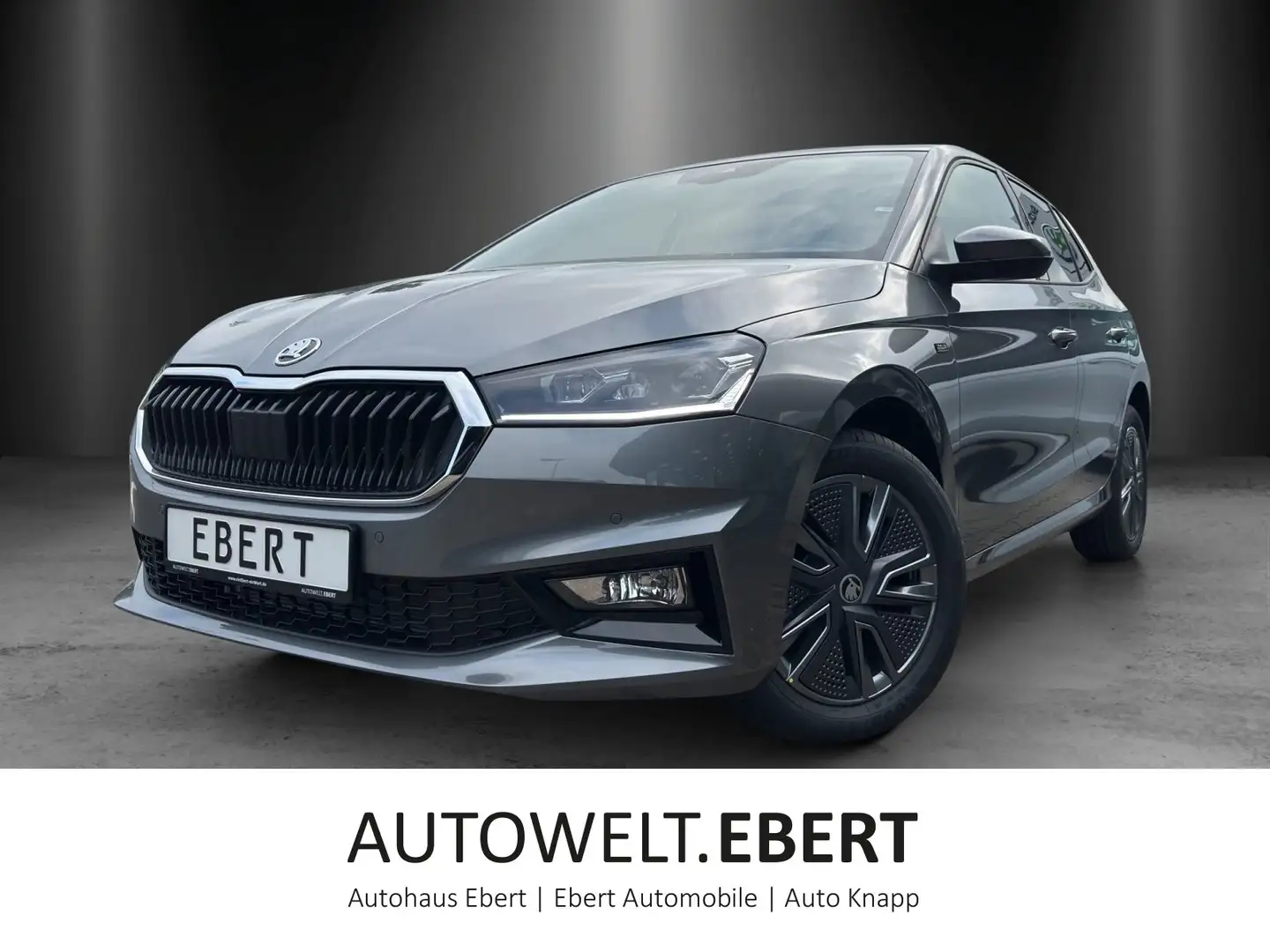 Skoda Fabia Tour 1,0 TSI 85 kW DSG Gris - 1