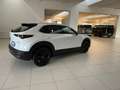 Mazda CX-30 2.0L e-Skyactiv-G 150 CV M Hybrid 2WD Homura Bianco - thumbnail 3