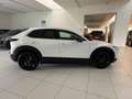 Mazda CX-30 2.0L e-Skyactiv-G 150 CV M Hybrid 2WD Homura Bianco - thumbnail 5