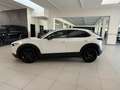 Mazda CX-30 2.0L e-Skyactiv-G 150 CV M Hybrid 2WD Homura Bianco - thumbnail 4