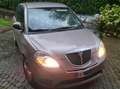 Lancia Ypsilon Ypsilon II 2007 1.4 8v New Oro (oro) ecochic Gpl Bronzo - thumbnail 3