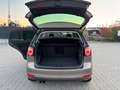 Volkswagen Golf Plus VI Life/Automat/2014 Braun - thumbnail 14