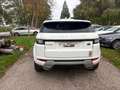 Land Rover Range Rover Evoque 2.0 TD4 Pure Motor Kapot!!! DUITS Weiß - thumbnail 2