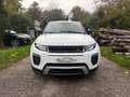 Land Rover Range Rover Evoque 2.0 TD4 Pure Motor Kapot!!! DUITS Weiß - thumbnail 5