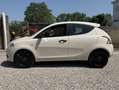 Lancia Ypsilon Y 1.2 69cv GPL Ecochic Black and Noir Beige - thumbnail 5