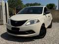 Lancia Ypsilon Y 1.2 69cv GPL Ecochic Black and Noir Beige - thumbnail 3