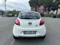 Ford Ka/Ka+ Ka II 3p 2009 Ka 1.2 Titanium 69cv E6 Bianco - thumbnail 7