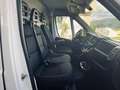 Fiat Ducato 35 LH2 2.2Mjt3 140CV E6D-fin ALLESTITO/IVA INCLUSA Blanc - thumbnail 4