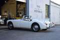 MG MGA 1600 Weiß - thumbnail 6