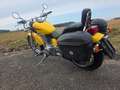 Suzuki LS 650 LS 650 Savage Amarillo - thumbnail 5