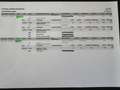 Opel Ampera-E Business executive 60 kWh NL AUTO/FULL OPTIONS Grau - thumbnail 20