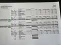 Opel Ampera-E Business executive 60 kWh NL AUTO/FULL OPTIONS Grau - thumbnail 21