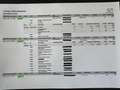 Opel Ampera-E Business executive 60 kWh NL AUTO/FULL OPTIONS Grau - thumbnail 22
