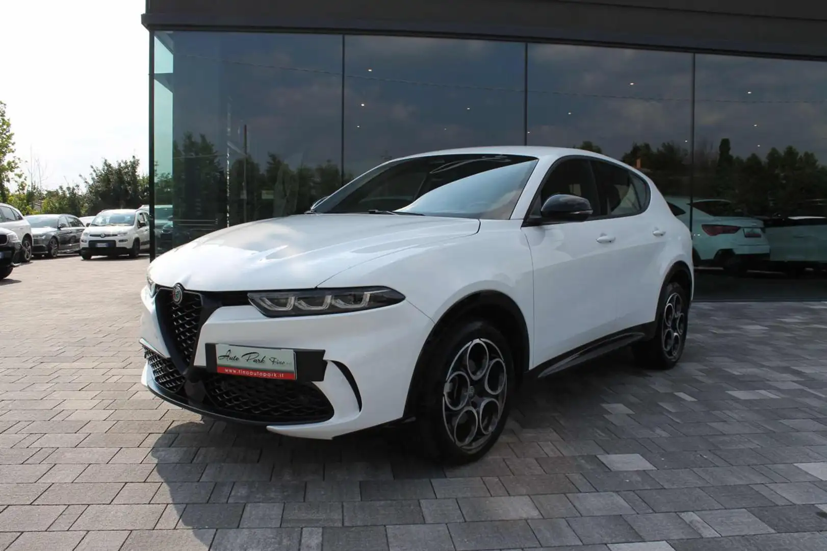Alfa Romeo Tonale 1.6 diesel 130 CV TCT6 Sprint Alb - 2
