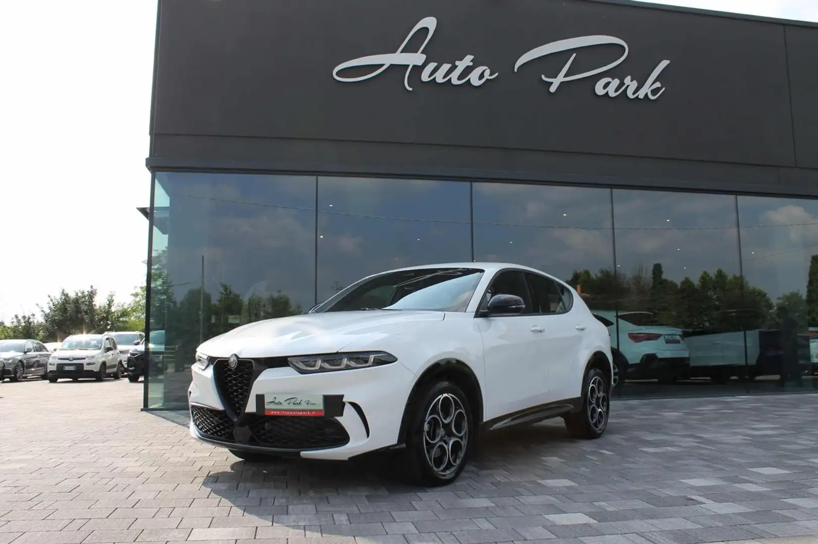 Alfa Romeo Tonale 1.6 diesel 130 CV TCT6 Sprint Alb - 1