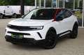 Opel Mokka-E GS LINE LED+SHZ+Winterp.+Fernlichtass. Wit - thumbnail 2