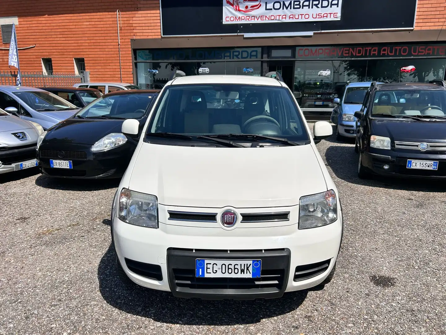 Fiat Panda Panda 1.3 mjt 16v Climbing  *4x4* 75cv Bianco - 2
