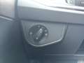 Volkswagen Polo GTI 2.0 TSI DSG GTI Grau - thumbnail 13
