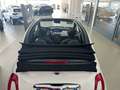 Fiat 500C 500 Cabrio 1.0 70 CvHybrid Alb - thumbnail 7